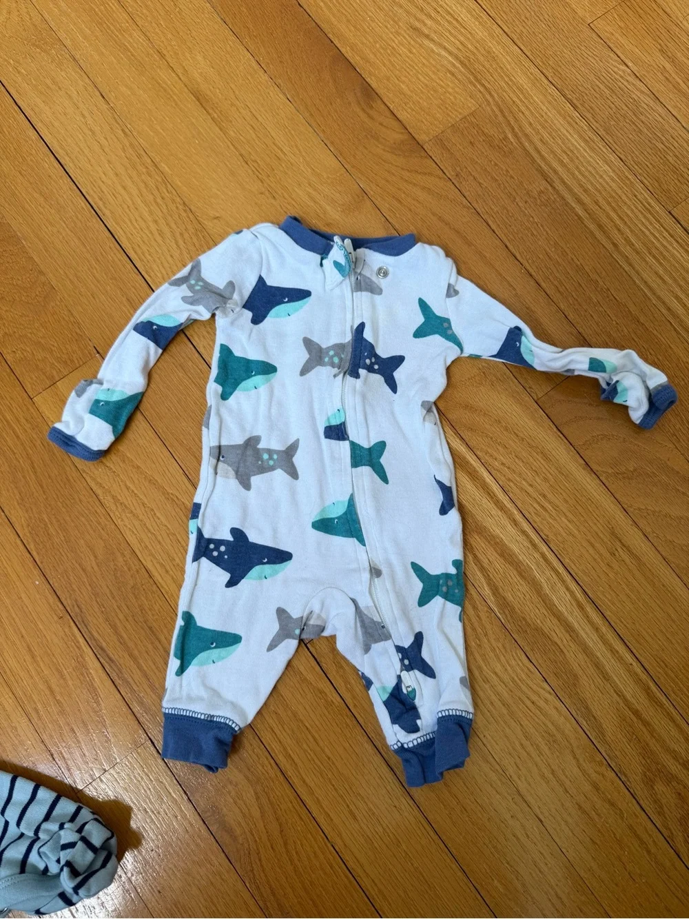 Carter's Blue Striped Lion & Shark Print Footie Set